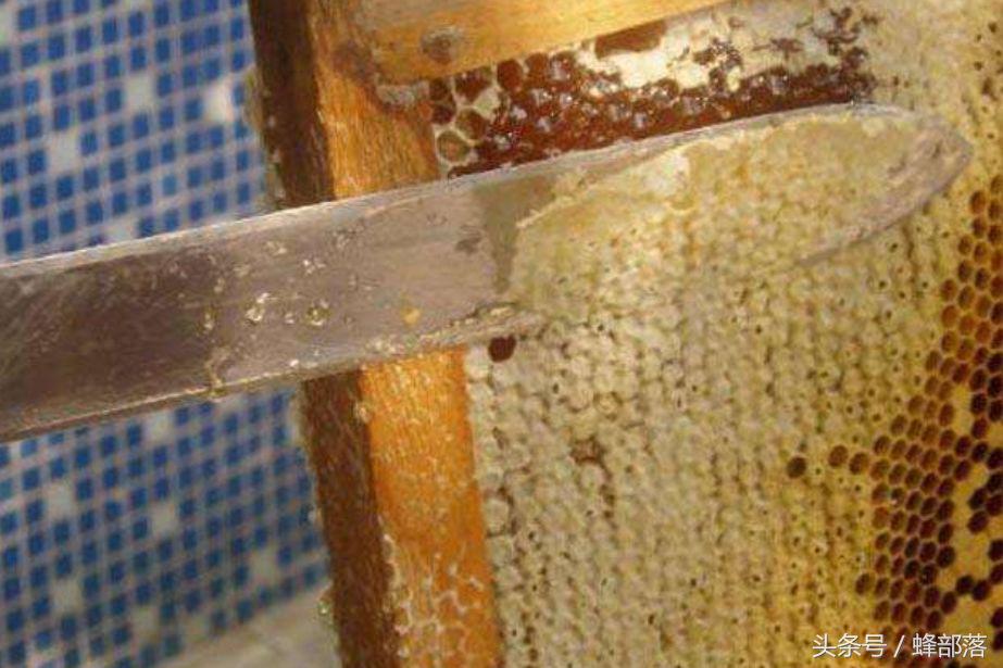 蜂蜜贩子收蜂蜜首先要问波美度，波美度检测仪能检测蜂蜜真假吗？
