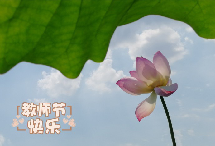 适合发朋友圈的23张教师节祝福图片