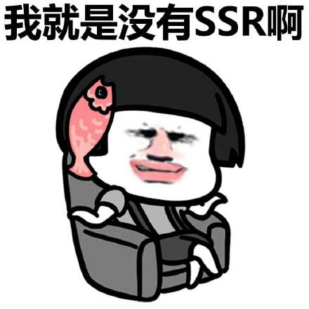 我就是没SSR啊