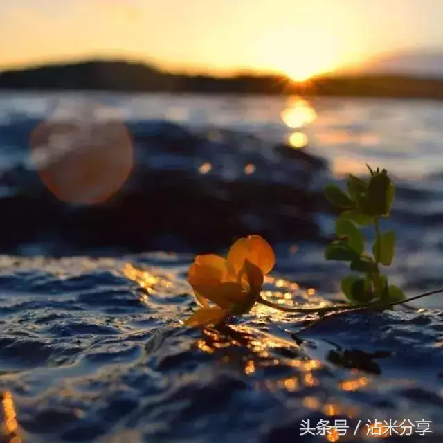 老友见面的朋友圈句子 老友重逢的唯美句子