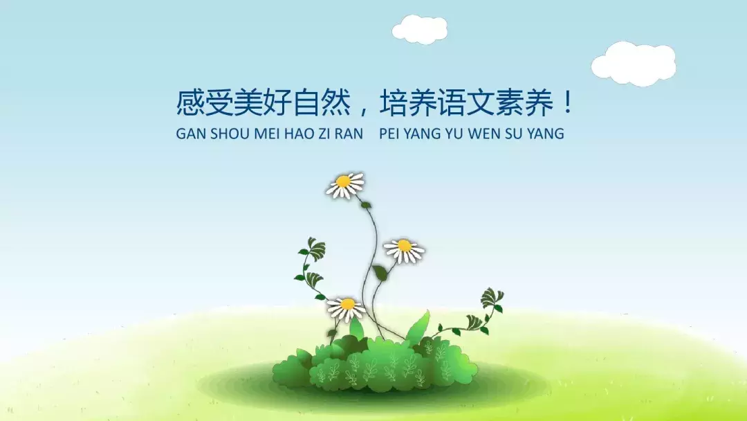 部编版三年级上册第1课《大青树下的小学》预习课件+趣味练习题