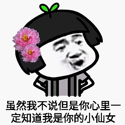 仙女专用表情包，凡人误碰，仙女们收下吧