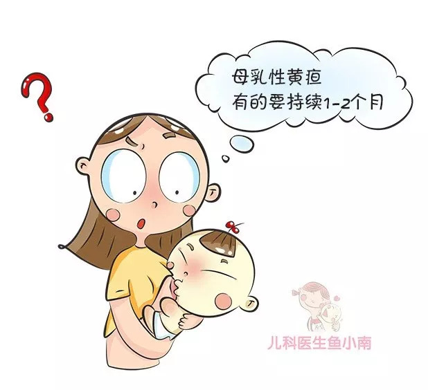 婴儿黄疸消退只用四招