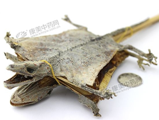 蛤蚧價格,蛤蚧價格多少錢一對?