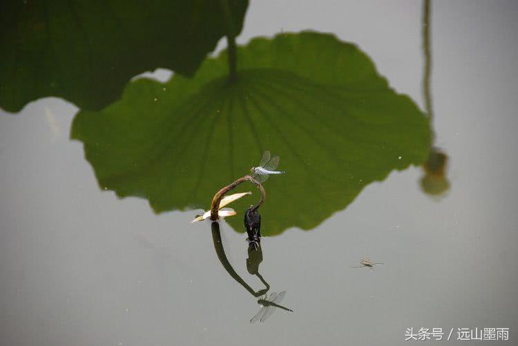 “若把西湖比西子，浓妆淡抹总相宜”，游杭州西湖的美好记忆