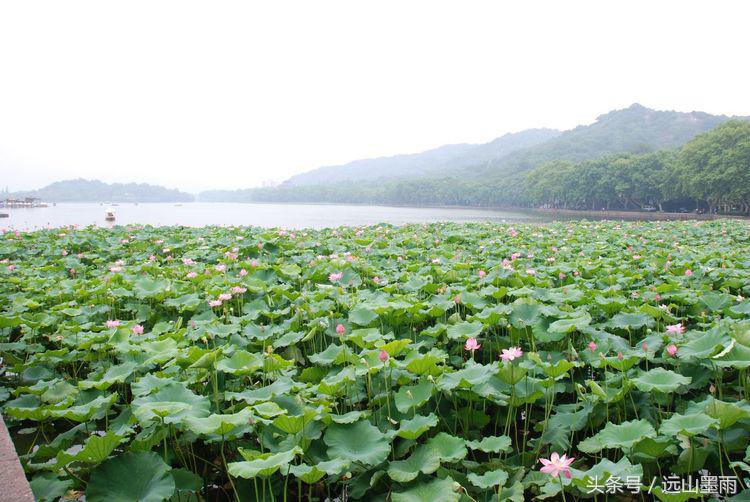 “若把西湖比西子，浓妆淡抹总相宜”，游杭州西湖的美好记忆