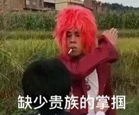 精选热门无水印表情包54张：缺少贵族的掌掴