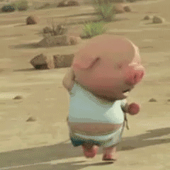 抖音表情包：向左奔跑向右奔跑的小猪