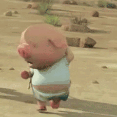 抖音表情包：向左奔跑向右奔跑的小猪