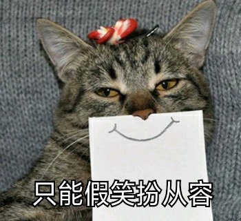可爱猫咪表情包15张:我懂了,我就是你可有可无的网友