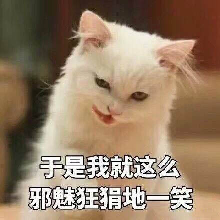 可爱猫咪表情包15张:我懂了,我就是你可有可无的网友