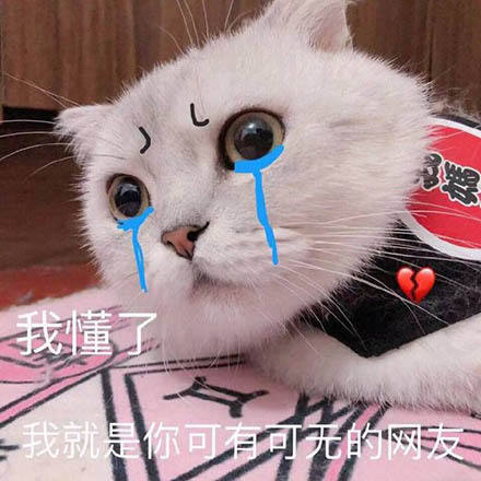 可爱猫咪表情包15张:我懂了,我就是你可有可无的网友