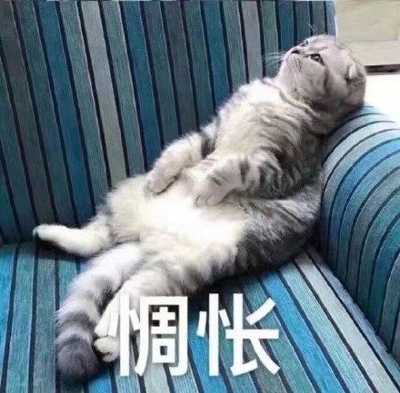 可爱猫咪表情包15张:我懂了,我就是你可有可无的网友