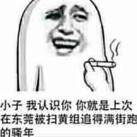 搞笑表情包：又是你小子，五次扫黄你都在场