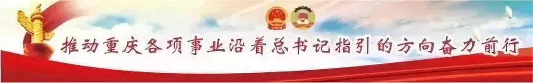 【学习进行时】每日金句|习近平论制度自信