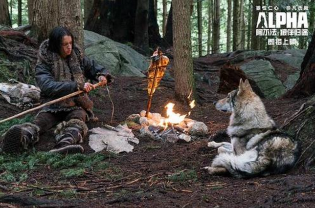 《狼伴归途》没说的另类历史：当初跟狗交朋友可是为它能咬人！