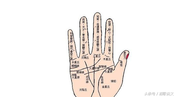 男女人手相看婚姻超准 手相看婚姻线_达一风水网