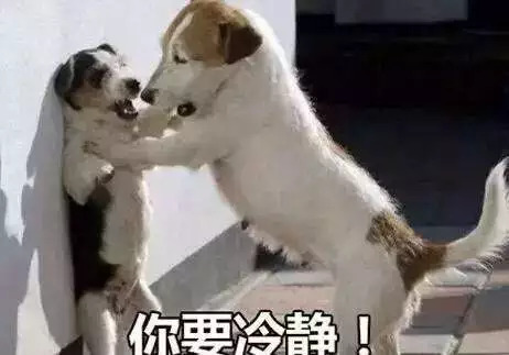 辞职报告理由,辞职报告理由写什么好