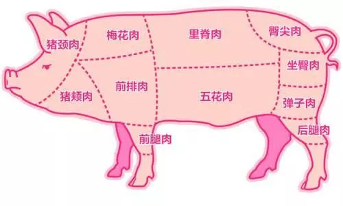 五花肉是哪个部位（一张图教你如何辨别不同部位猪肉）