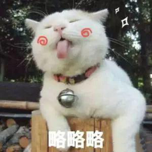 搞笑猫咪表情包39张