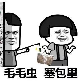 整天欺负老实人