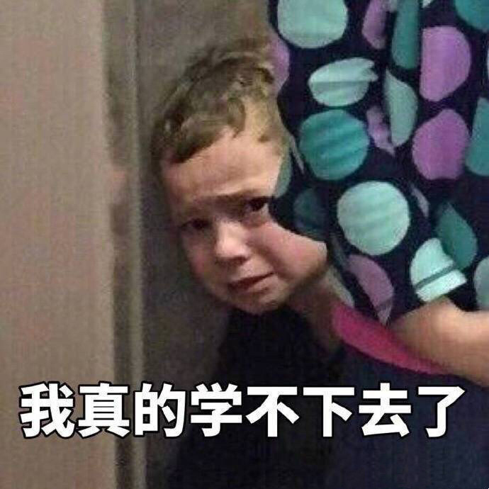 今日份搞笑表情包58张：请问我的钱是大风刮来的吗