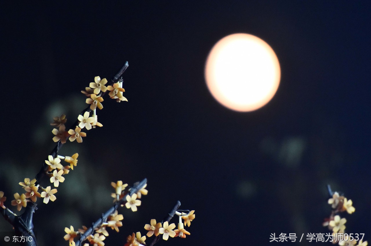 八年级语文上册第3单元综合检测题（带答案新人教版）