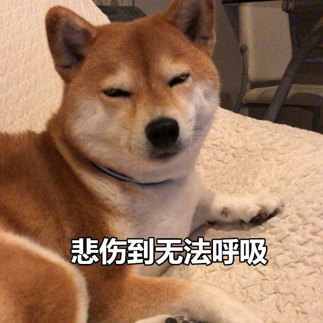 柴犬表情包：来个热吻吗宝贝