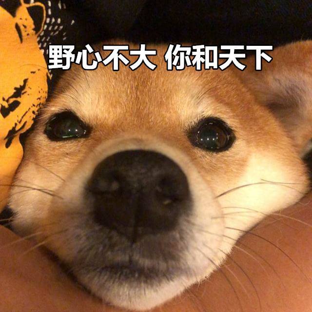 柴犬表情包：来个热吻吗宝贝