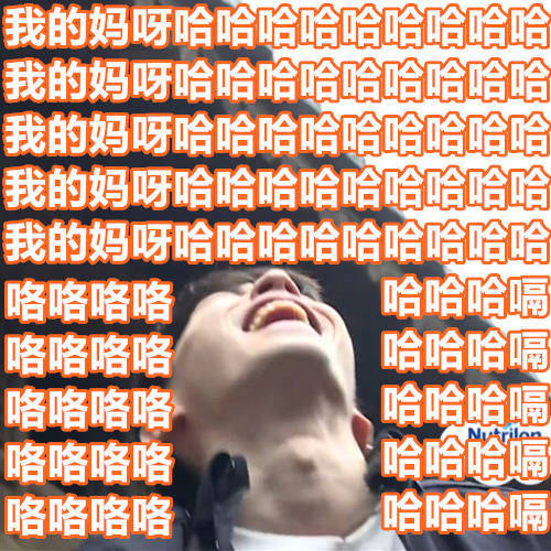 今日份搞笑表情包40张