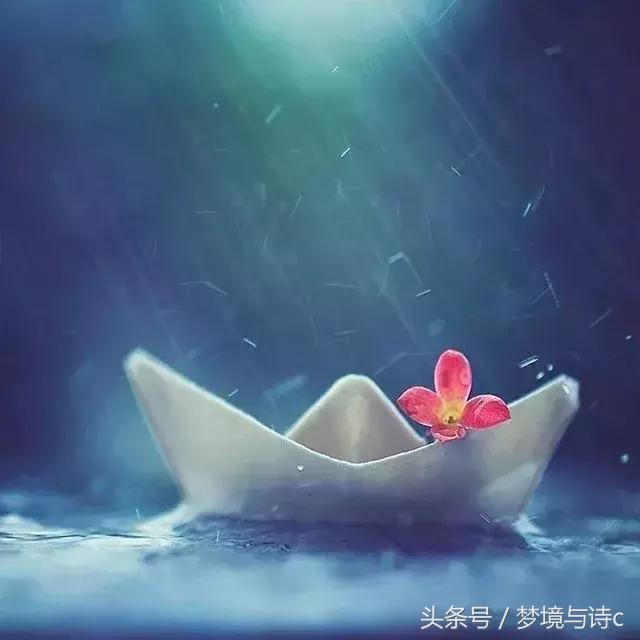 天不老，情难绝(赏析精读)