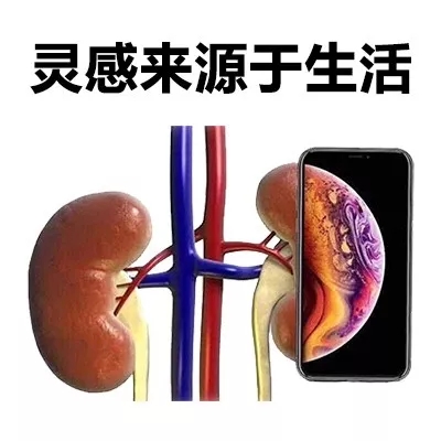 iPhoneXS和iPhoneXSMax搞笑表情包20张