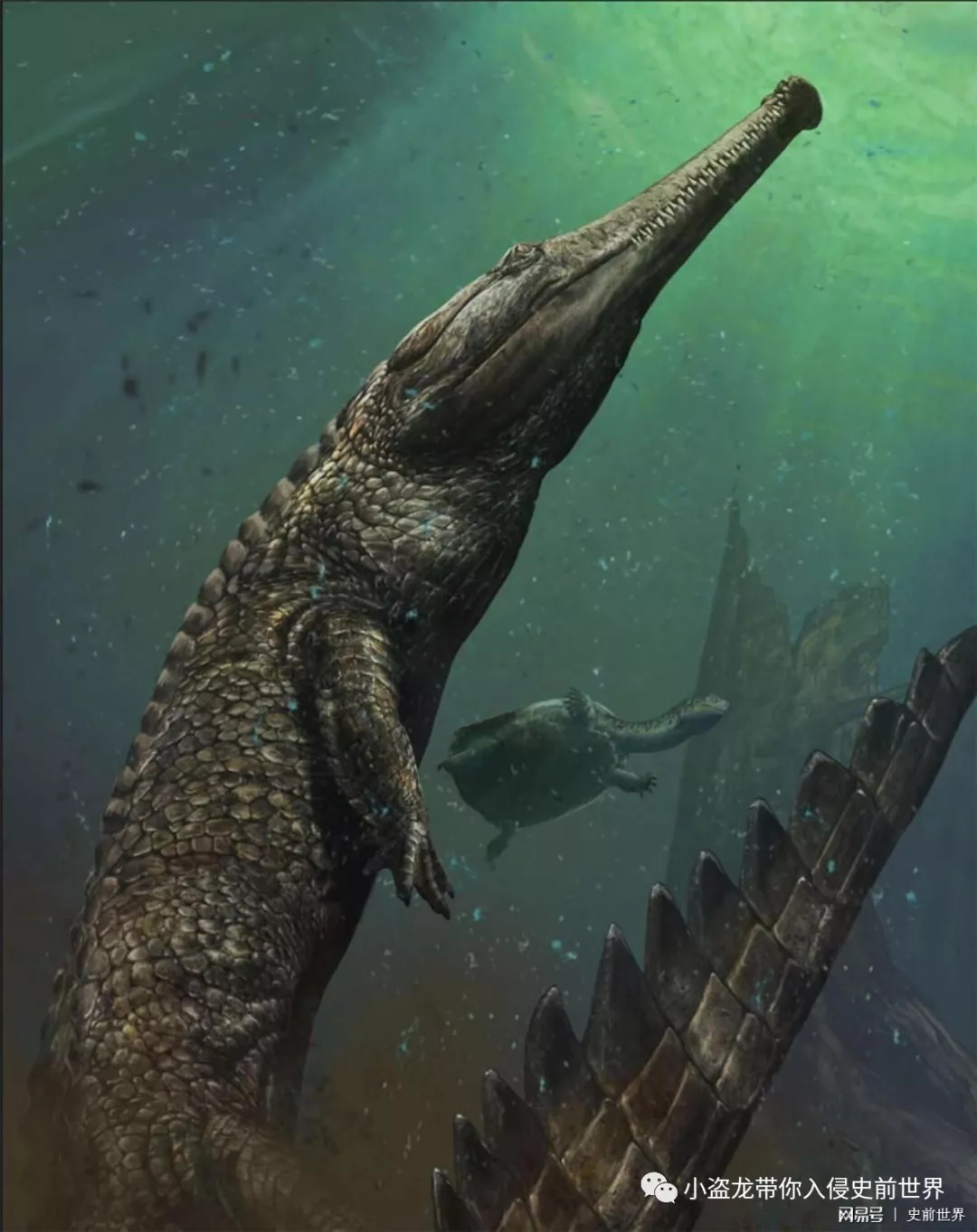 世界上最大的史前巨鳄图片