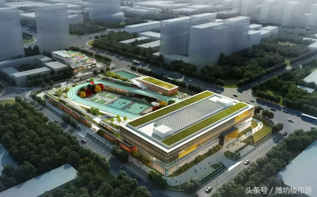 潍坊两区教育大PK 你站哪边？