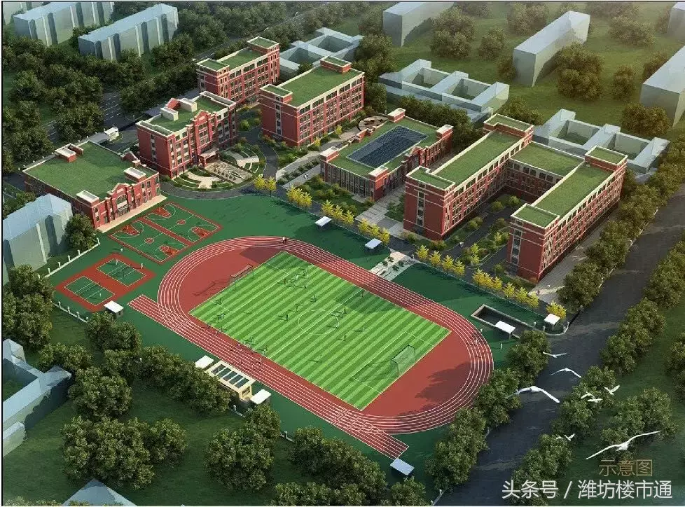 潍坊两区教育大PK 你站哪边？