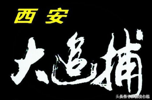 盘点国内十部刑侦纪实电视剧，真实的让人发怵