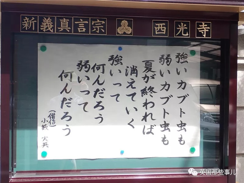 日本寺庙年度扎心标语评选……和尚们表示皮这一下很开心