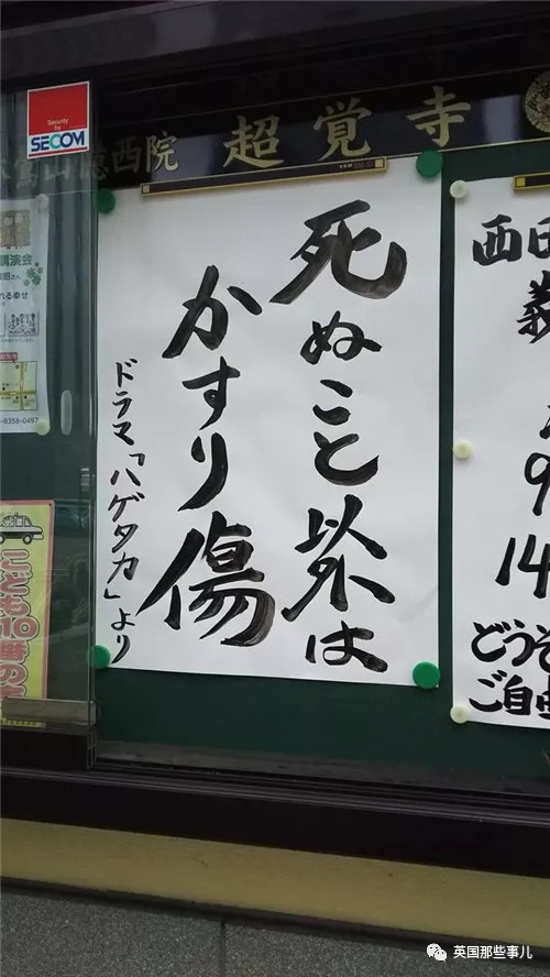 日本寺庙年度扎心标语评选……和尚们表示皮这一下很开心