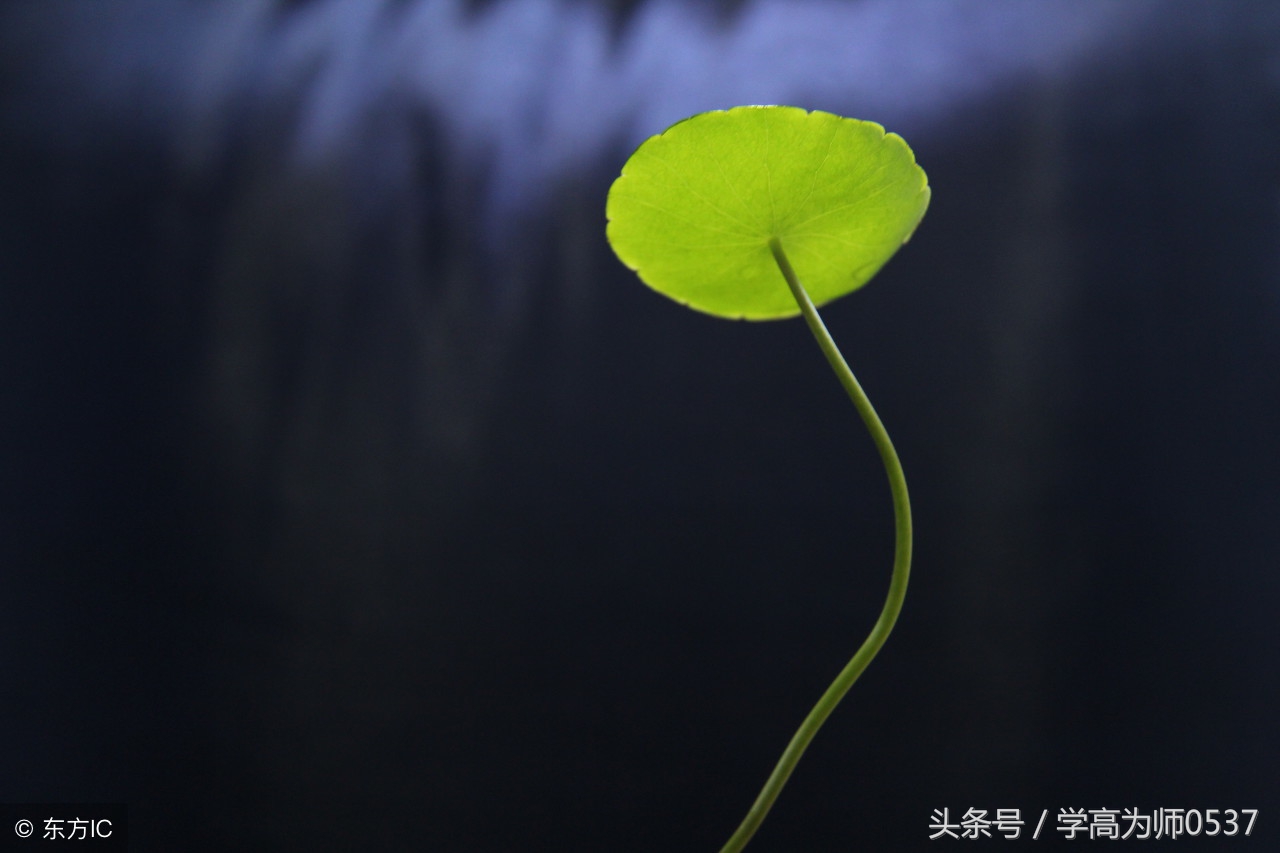 用“还是”造句子一年级语文练习题精选