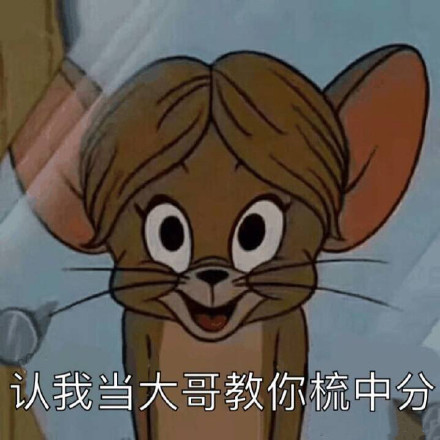 今日份热门搞笑表情包：认我做大哥，我教你梳中分