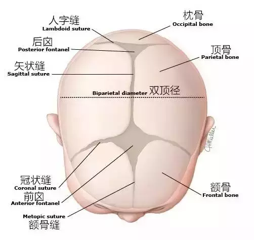 宝宝囟门闭合早晚会影响智力吗？囟门护理，需要注意些什么呢？