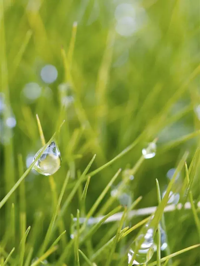 秋，总是多雨，凉风习习，雨落成诗，一起来欣赏吧