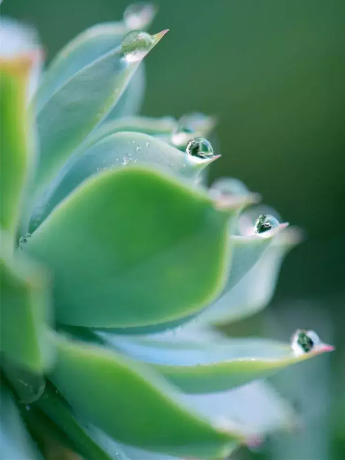 秋，总是多雨，凉风习习，雨落成诗，一起来欣赏吧