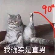 今日热门猫咪表情包：我要露出点小马脚来，好让你看出来我喜欢你