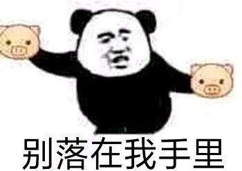 网恋请加我