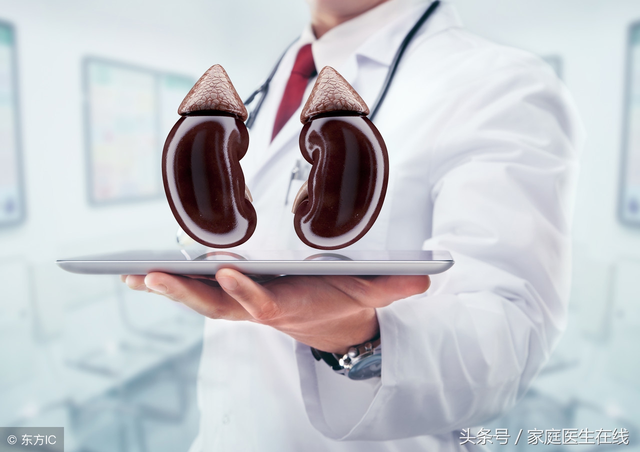 肾虚怎么补？食补药补都不能落！快看你做对了吗？