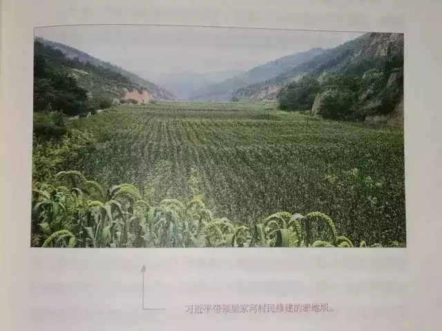 “我是黄土地的儿子”