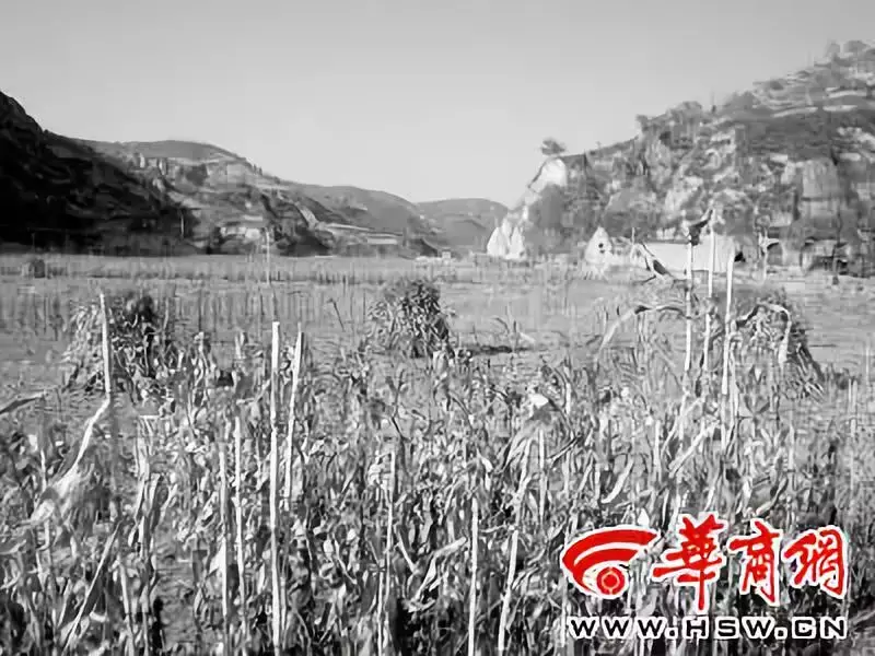 “我是黄土地的儿子”