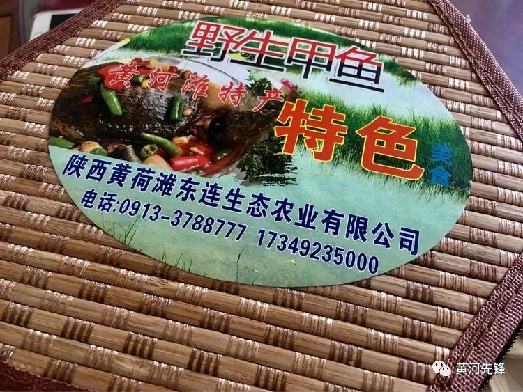 陕西甲鱼哪里有(中秋节 “逛”大荔生态文化旅游 品农家乐黄河鲤鱼、鲶鱼那才叫美)