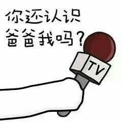 拿TV话筒采访的表情包大全：谁给你的勇气，梁静茹吗